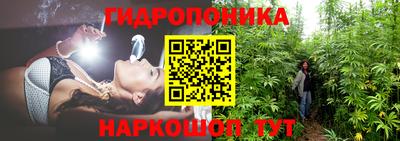 шишки Кулебаки