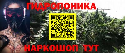 шишки Кулебаки
