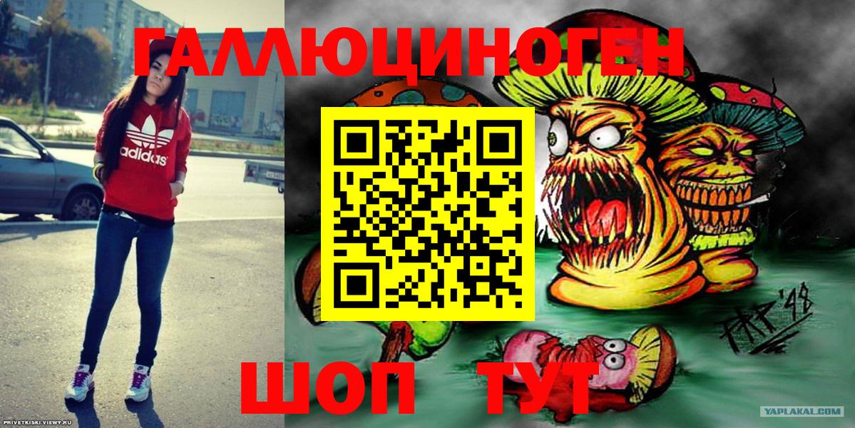 Галлюциногенные грибы Psilocybe Каменка
