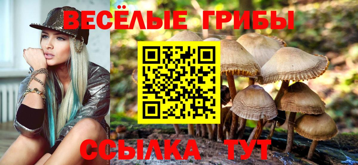 Галлюциногенные грибы прущие грибы  Вход с VPN  Псилоцибиновые грибы Psilocybine cubensis  Каменка 